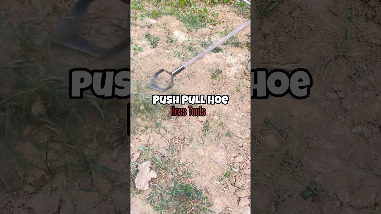 Glides like Butter! The Push Pull Hoe from Hoss Tools! #hosstools #gardentools #gardentool #weeding