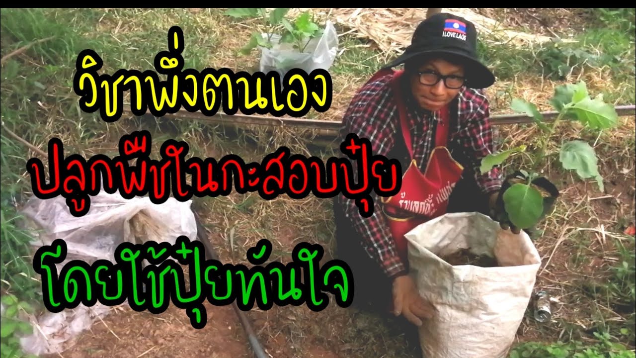 วิชาพึ่งตนเอง.ปลูกพืชในกระสอบปุ๋ย.โดยใช้ปุ๋ย​ทันใจ​