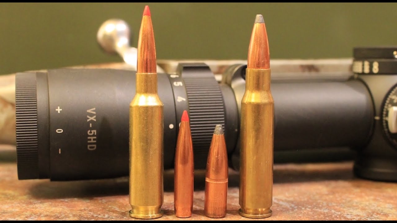 6.5 Creedmoor против 308 Winchester: с каким из них лучше охотиться?
