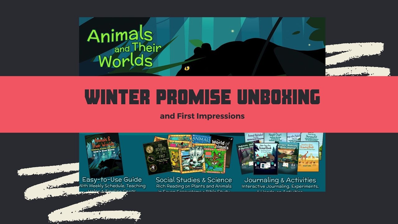 Winter Promise Unboxing and First Impressions