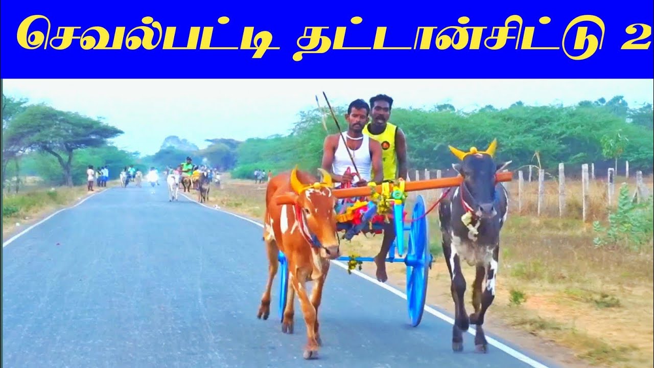 செவல்பட்டி தட்டான்சிட்டு 2 சுற்று 