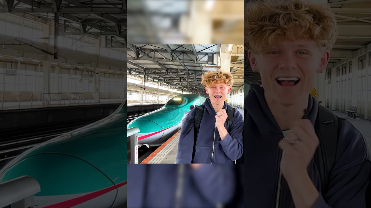 How a Bird fixed a Bullet Train
