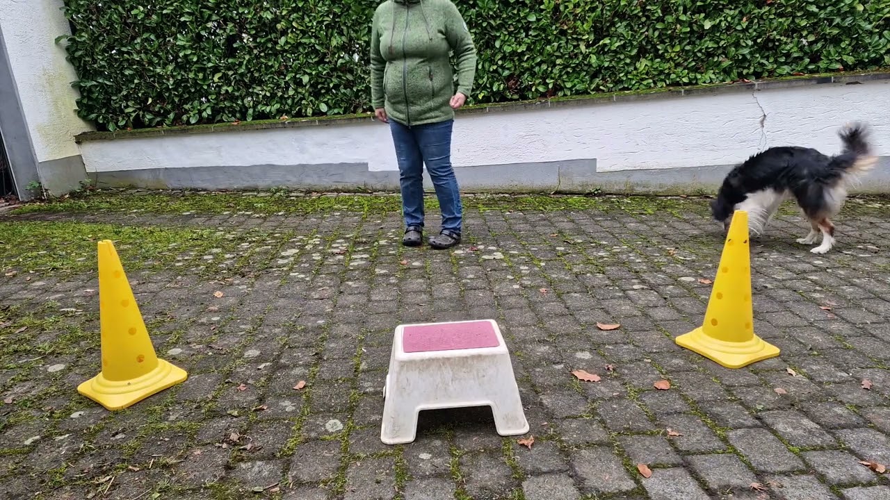 Kuchenstück 6 Sonjas Gedanken zu Führarmen, Körpersprache, etc