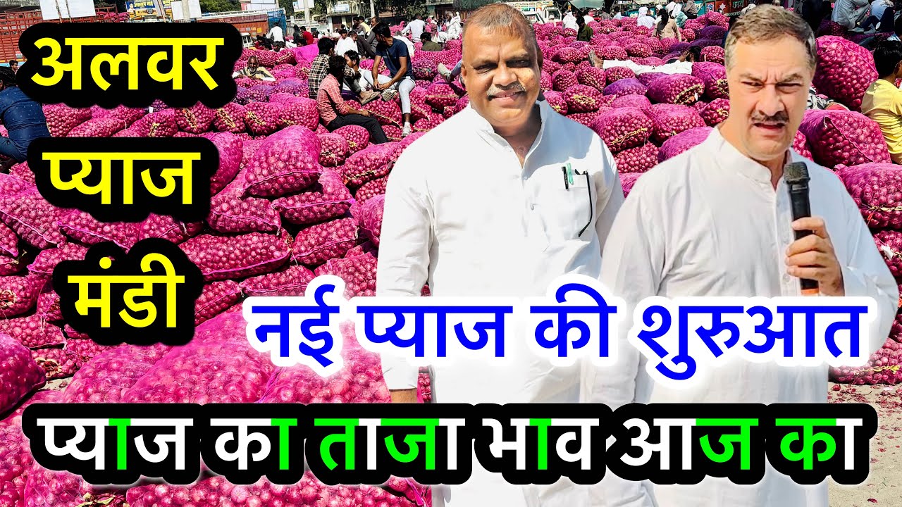अलवर प्याज़ मंडी भाव आज का पप्पू भाई प्रधान, Alwar Pyaj Mandi Bhav Today Onion Rate Aaj Ka #pyajbhav