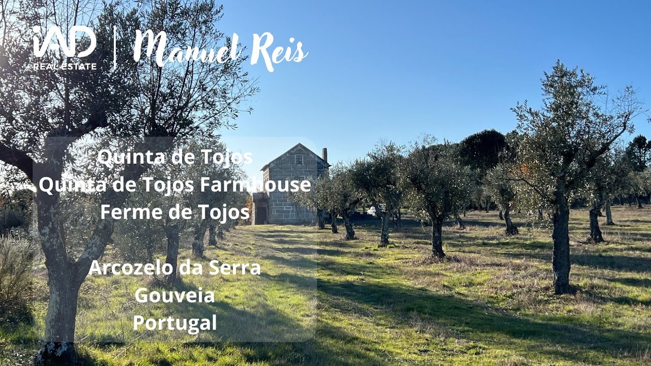 Quinta de Tojos - Arcozelo da Serra - Gouveia