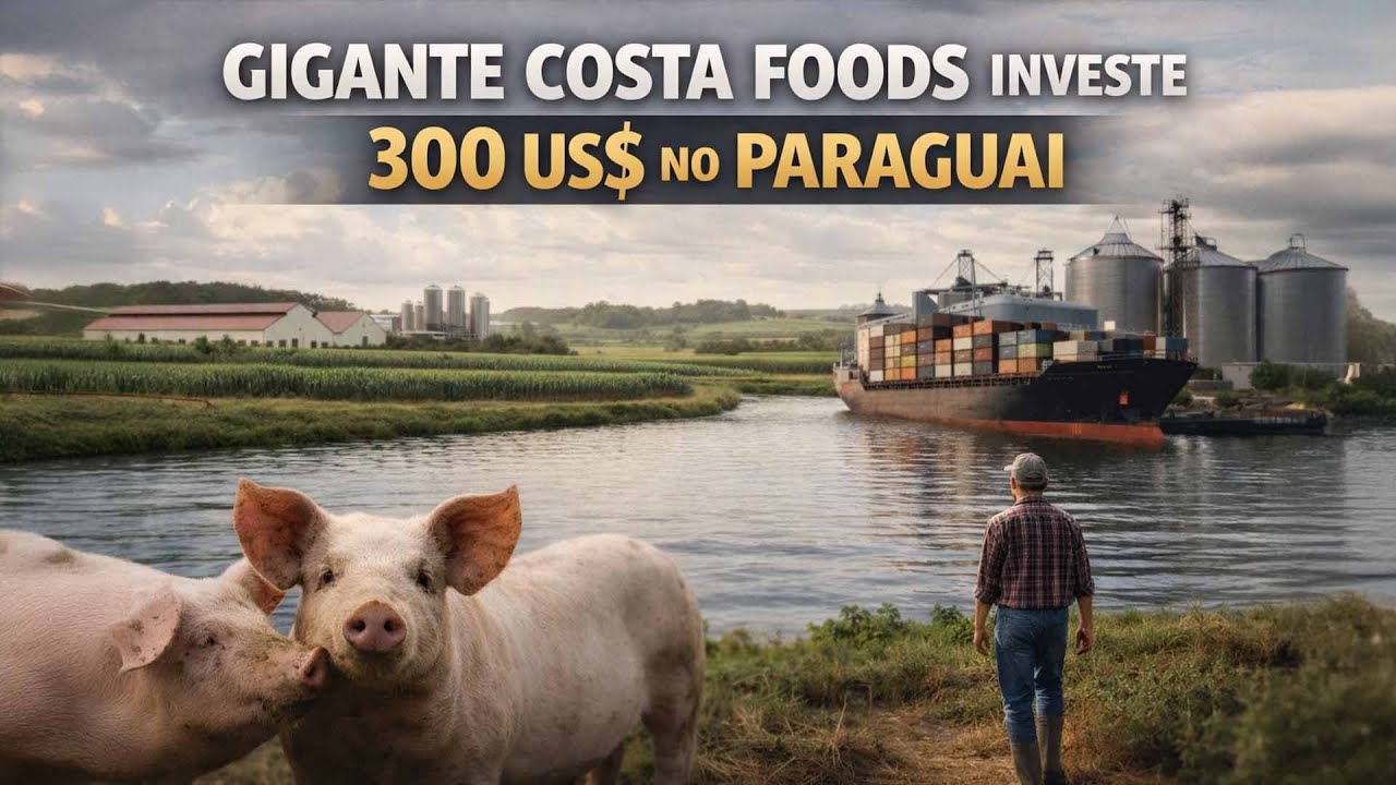 Компания Costa Food инвестирует 300 миллионов долларов США в Парагвай и меняет правила игры в гло...