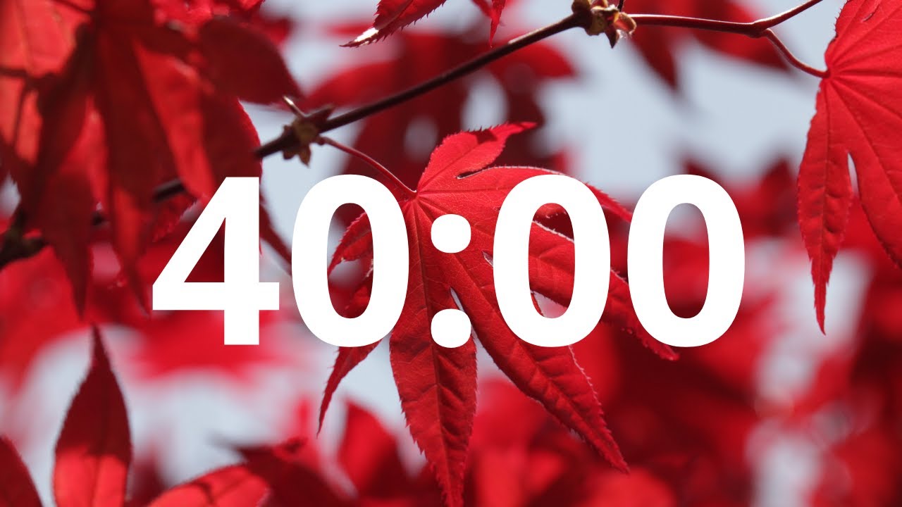 40 Minute Countdown Timer With Alarm (Simple Beep)