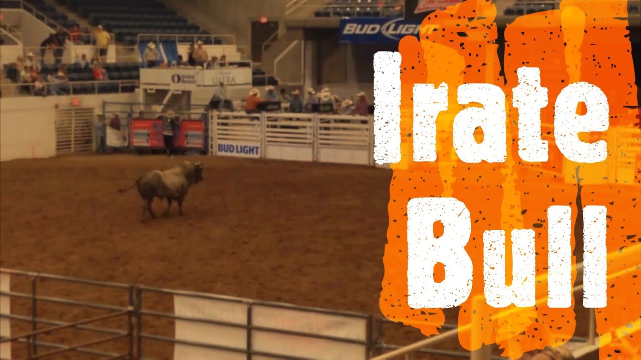 Irate Bull | Rodeo | Ventures Fan