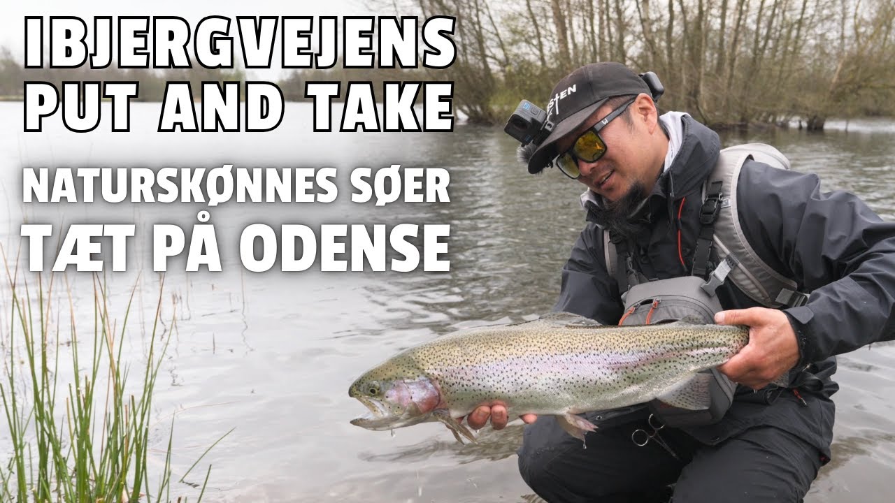 Ibjergvejens Put and Take: Et Naturskøn Område, Tæt På Odense