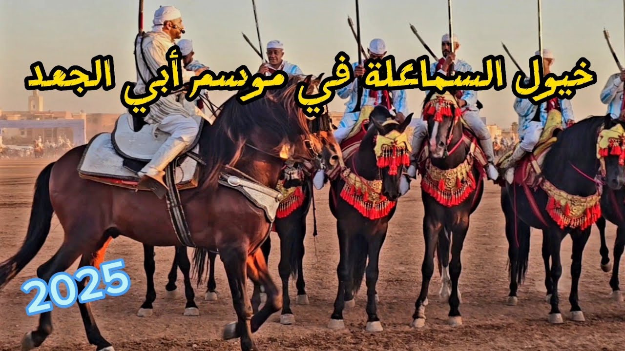 خيول السماعلة في موسم أبي الجعد 2025  كلام ريحة الدوار وأنغام عبيدات الرمى
