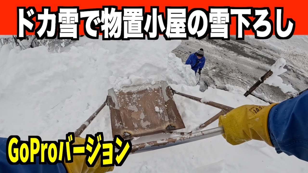 【最恐最長寒波】ドカ雪で物置小屋の雪下ろし 2026-01-25（日）　武七の除雪・雪かき日記　snow removal ASMR