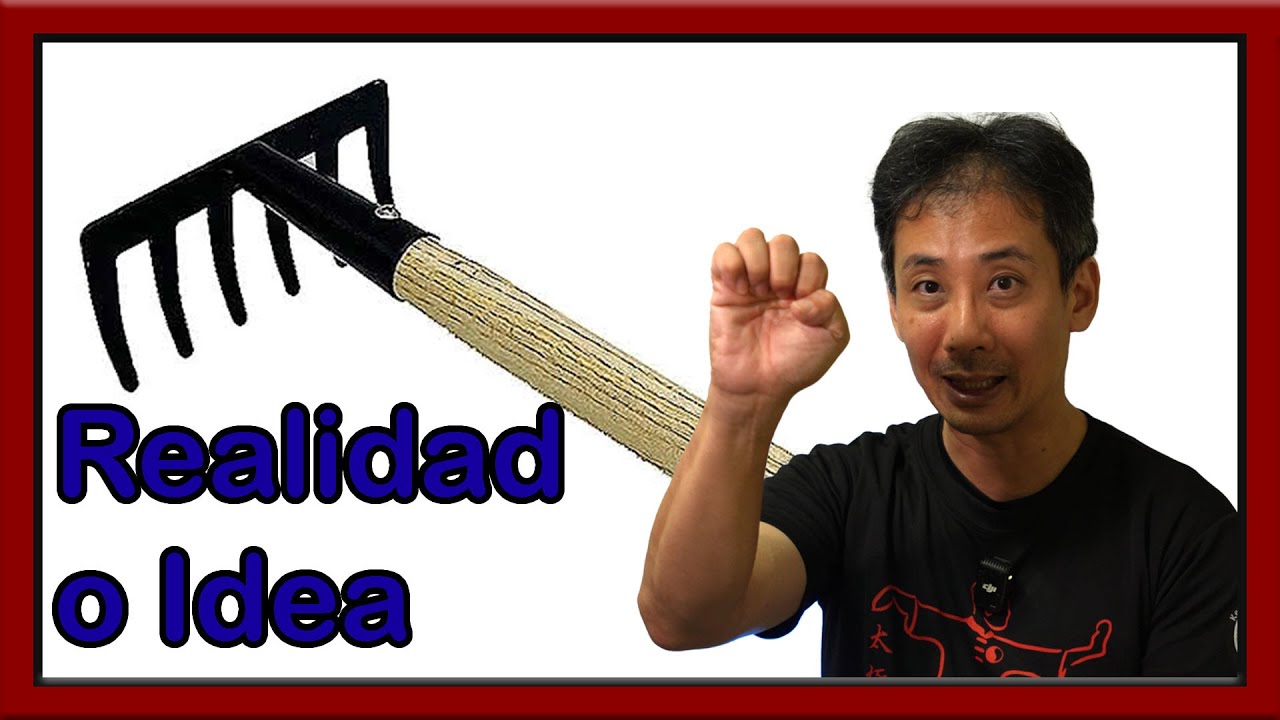 Realidad o idea