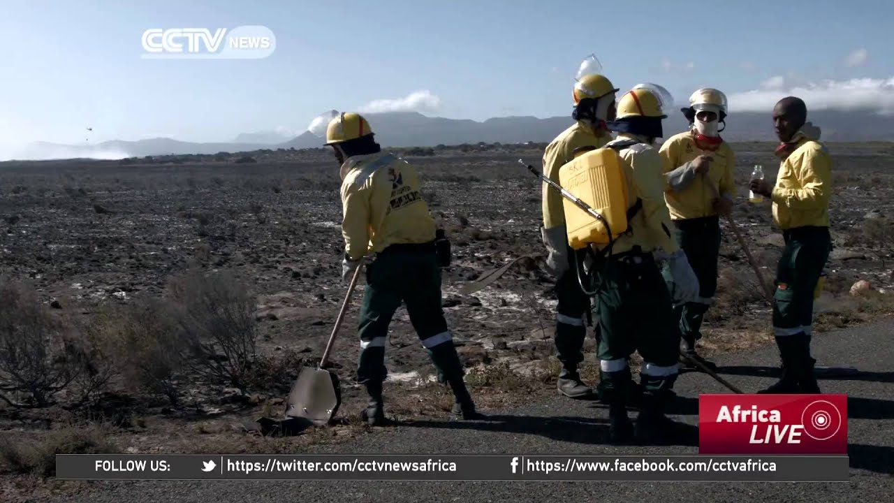 South Africa's Working on Fire Initiative