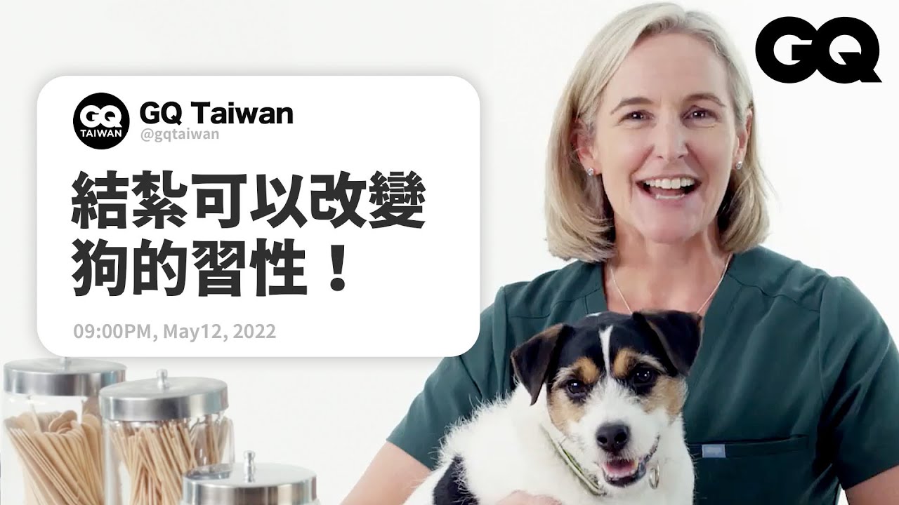 獸醫解答鏟屎官的疑難雜症：狗狗吸二手菸也會致癌？犬貓心絲蟲怎麼預防？ Veterinarian Answers Pet Questions｜名人專業問答｜GQ Taiwan
