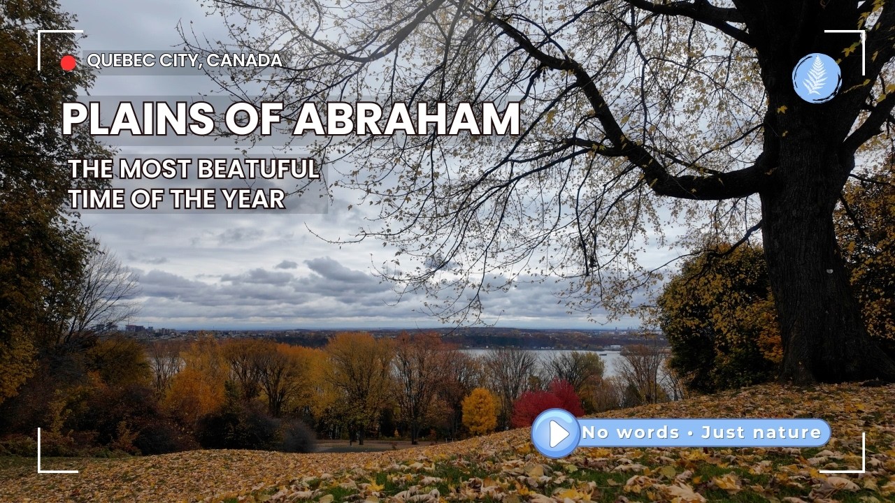 Autumn Walk on the Plains of Abraham | Relaxing Nature Sounds and Fall Colors in Quebec City