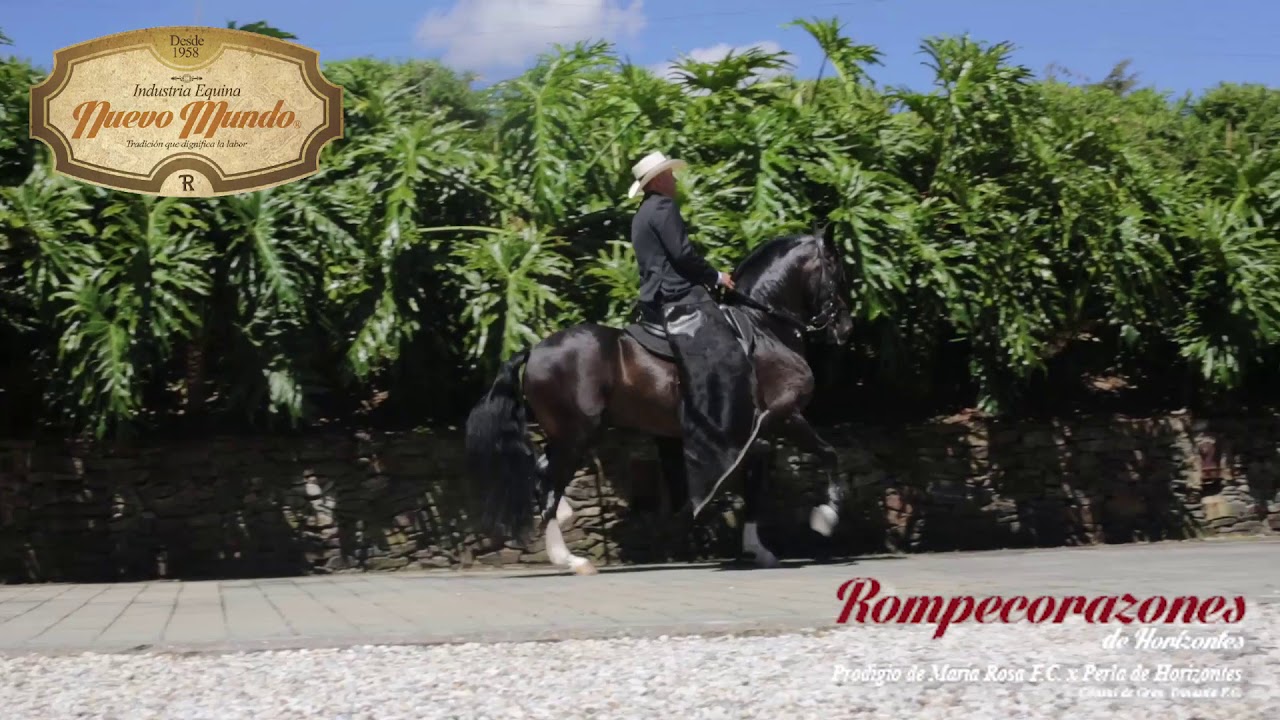 VIDEO ROMPECORAZONES DE HORIZONTES  EN DEL CABALLISTA