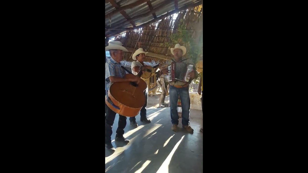 Los Pescadores de Sinaloa. Deja que ladren los perros