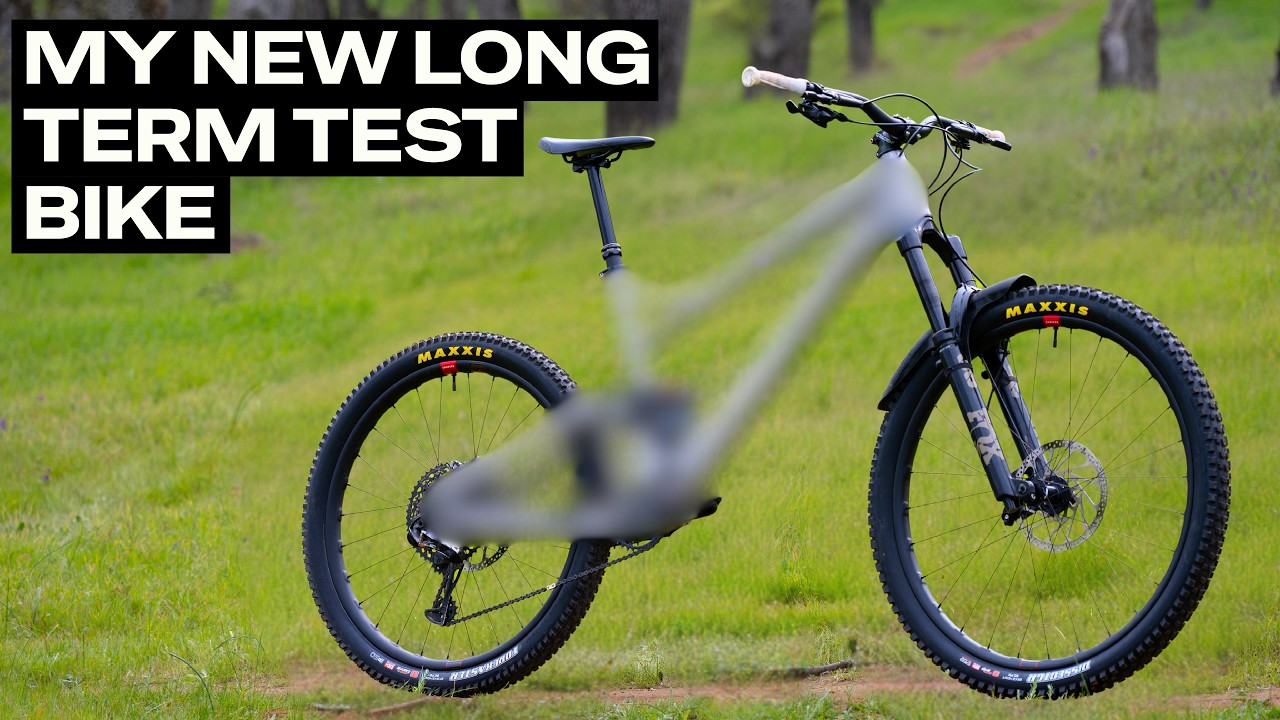 135mm Travel - DH Bike Geometry