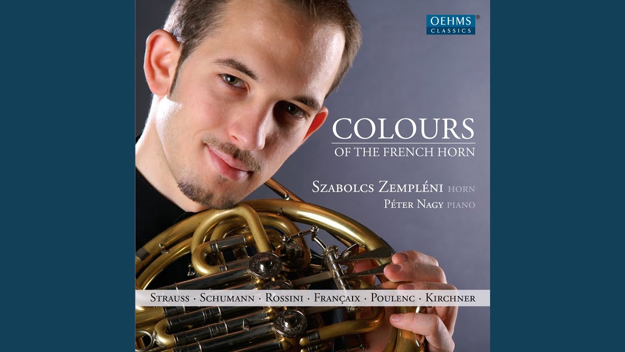 Adagio and Allegro, Op. 70: Allegro: Rasch und feurig