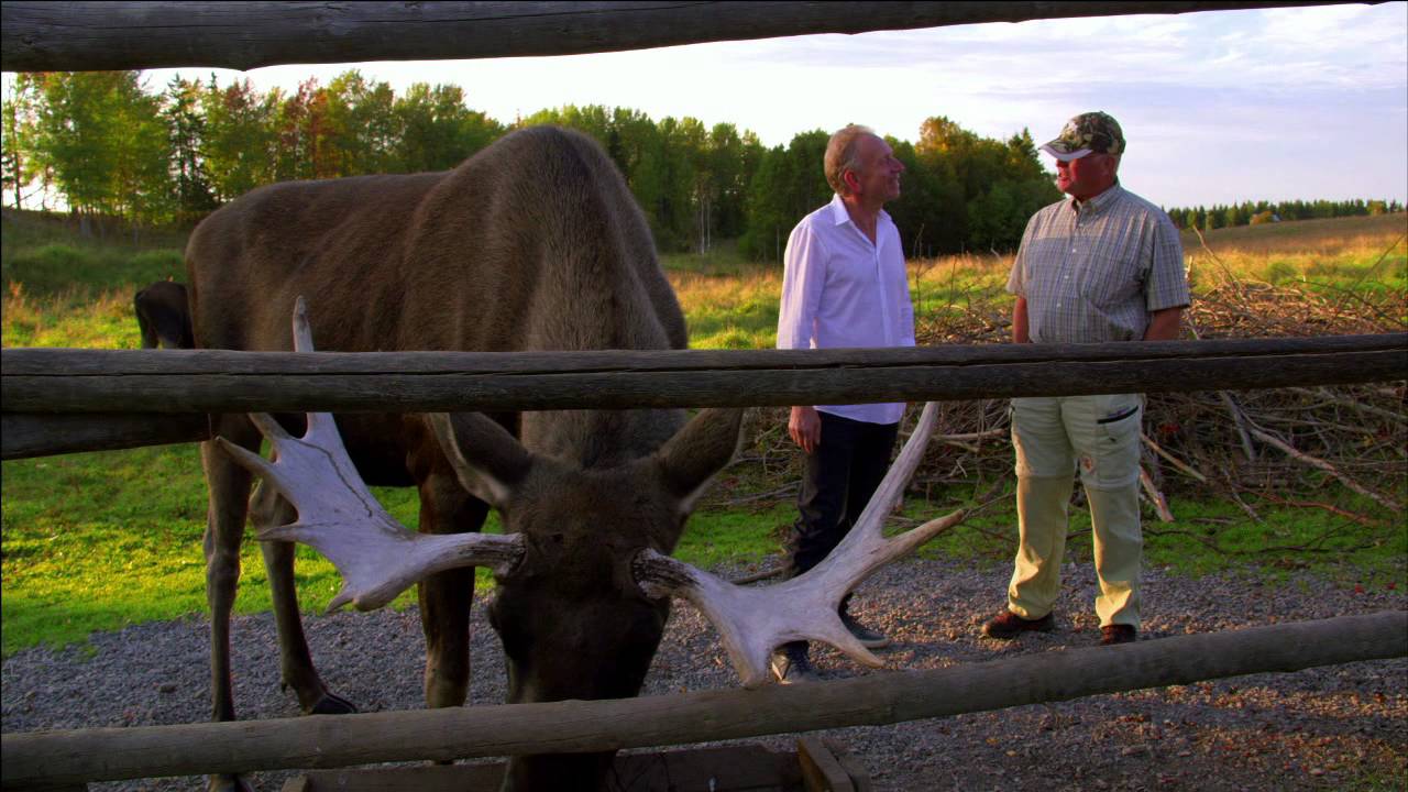 Worlds most expensive Cheese- Sweden Moose Cheese: Preview of 'Cheese Slices' Season 7, Will Studd