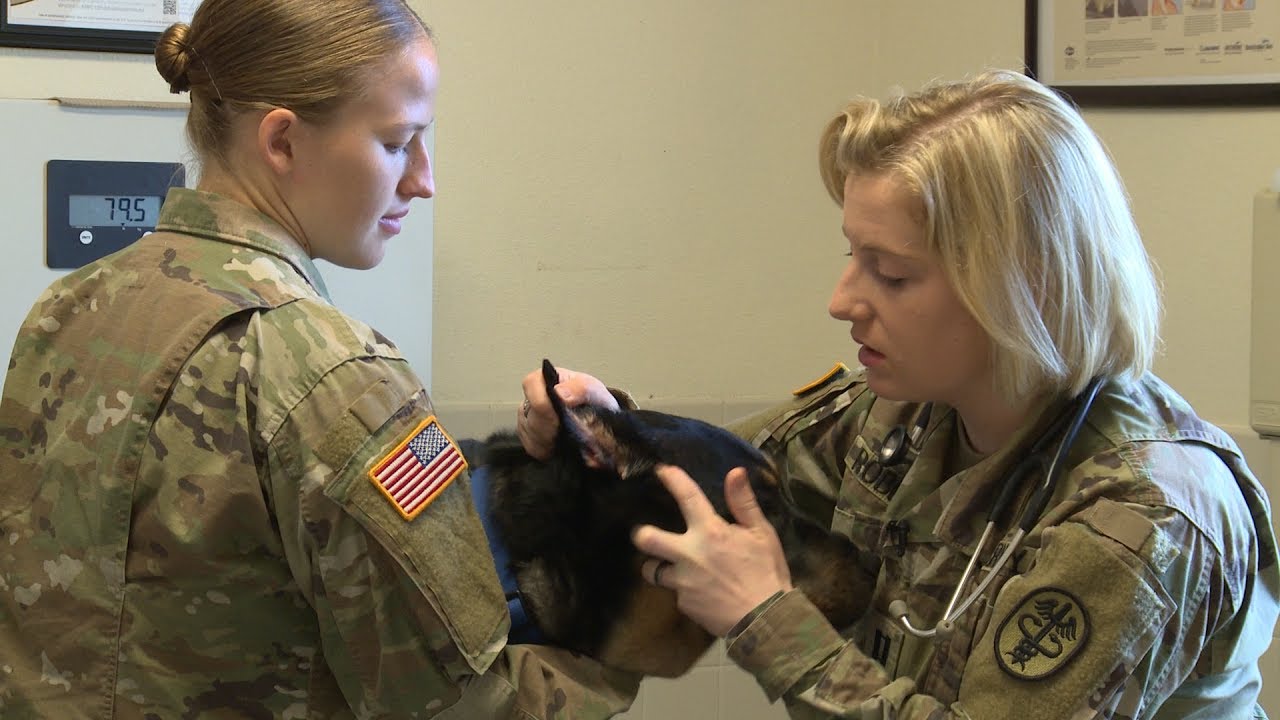 Does Randolph Air Force Base have veterinarian services? Army Veterinarian Facility.
