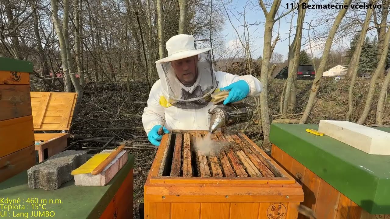 11.) 26 - 10 03 2026 - Bezmatečné kmenové včelstvo ... neoplozená nová matka ???