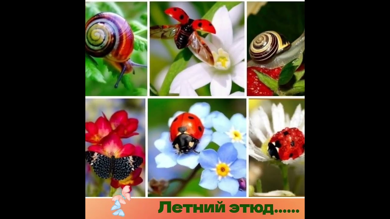 29 июля 2023 г.