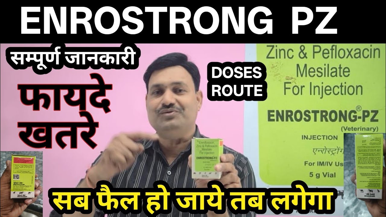कहाँ होगा सही स्तेमाल Enrostrong PZ Injection uses in hindi / enrostrong pz injection veterinary