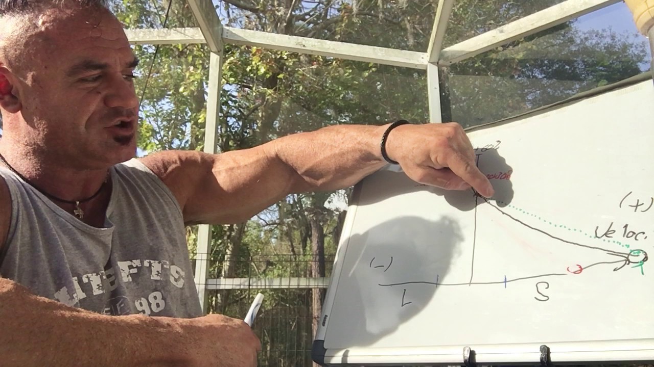Force-Velocity Relationship - Practical Applications