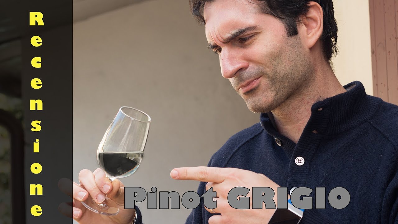 Pinot GRIGIO!! Degustazione Wine&Food rec. Recensione