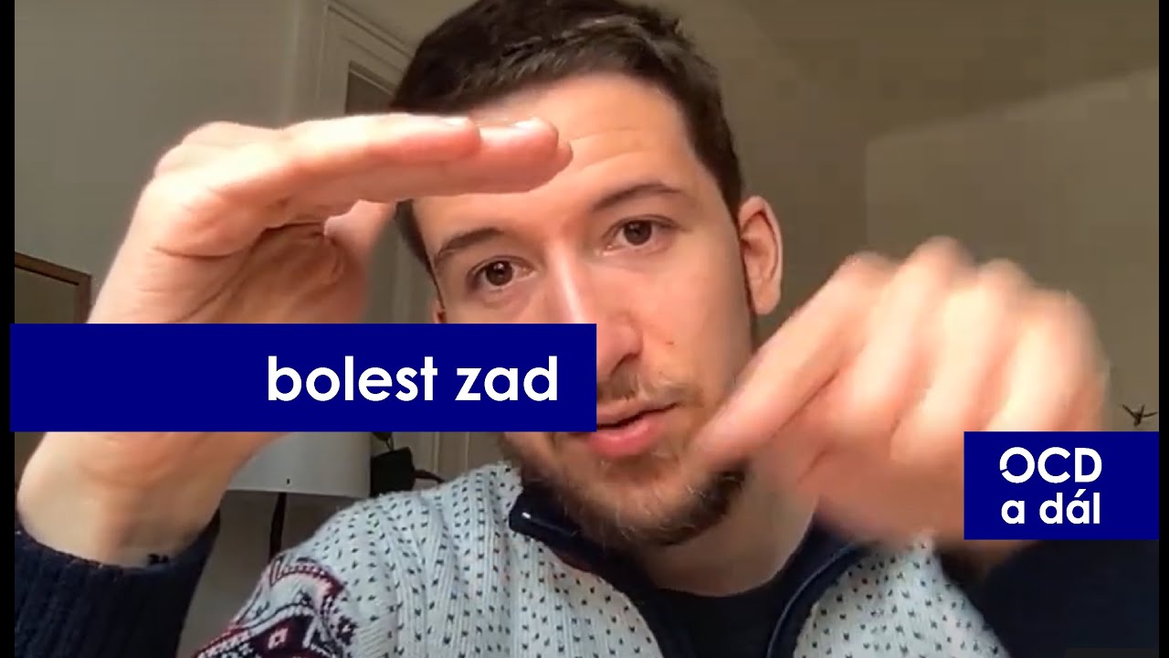 Bolesti zad (a jiné chronické bolesti) a psychika