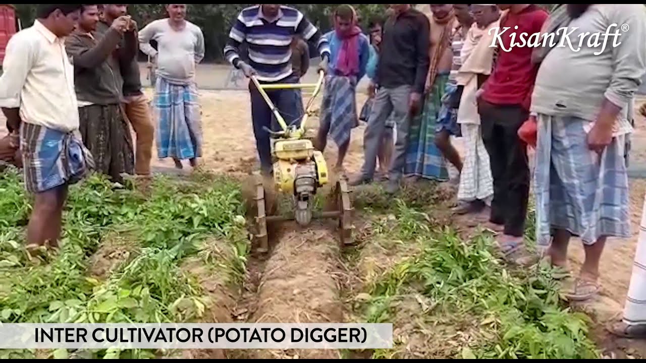 Intercultivator Potato Digger Demo