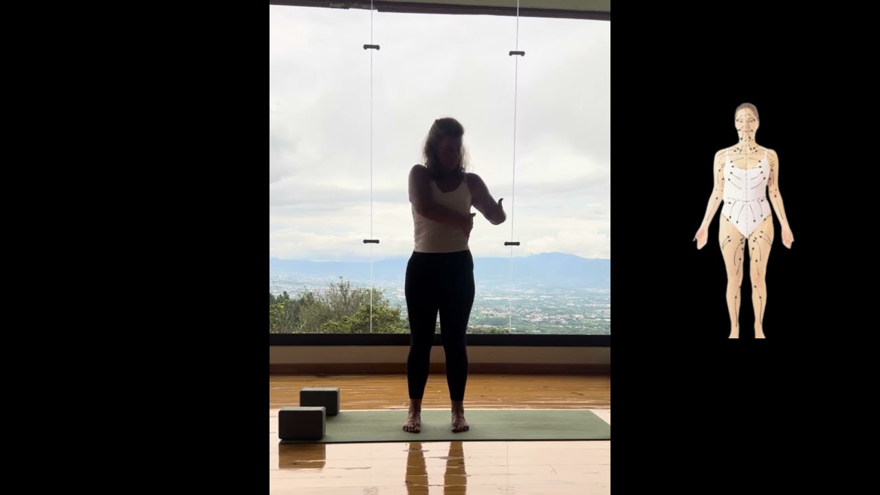 ✨ 3-Minute Lymphatic Dry Brushing Routine for Full-Body Flow + Breathwork | MLD Therapist Demo