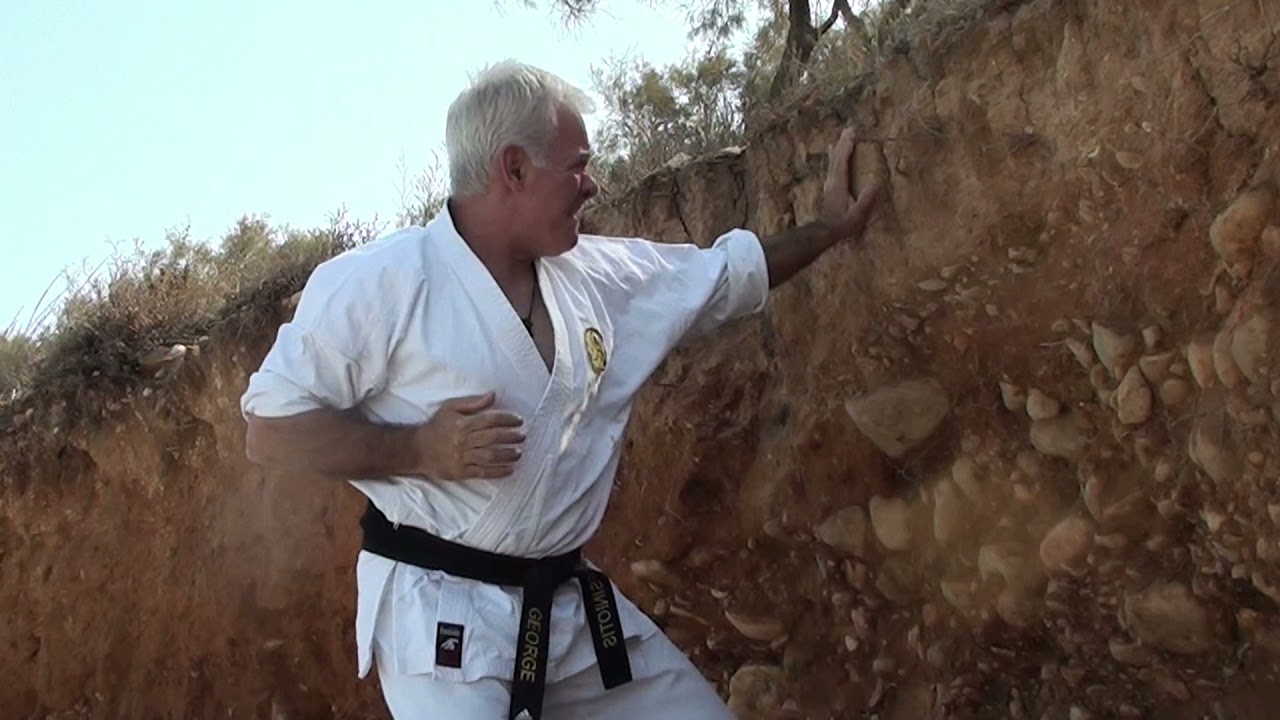 Σκληρή προπόνηση Karate (199)
