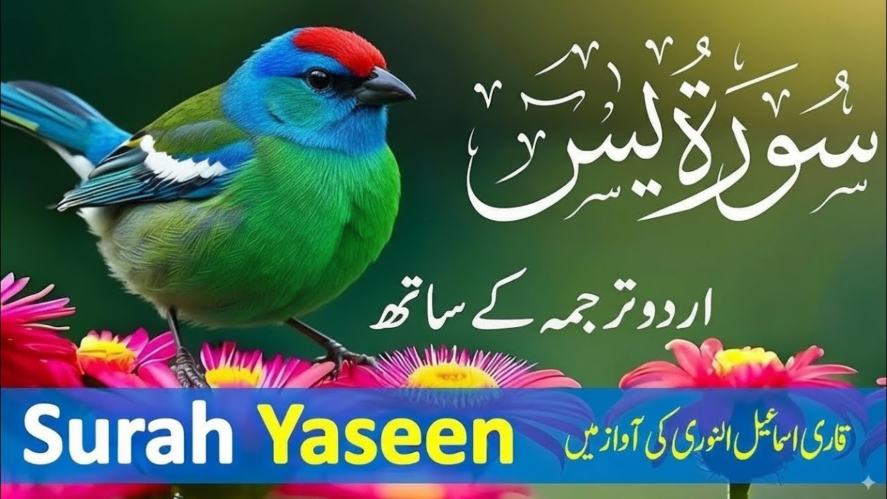 ✨ “Surah Yaseen with Urdu Translation | Peaceful & Relaxing Recitation”