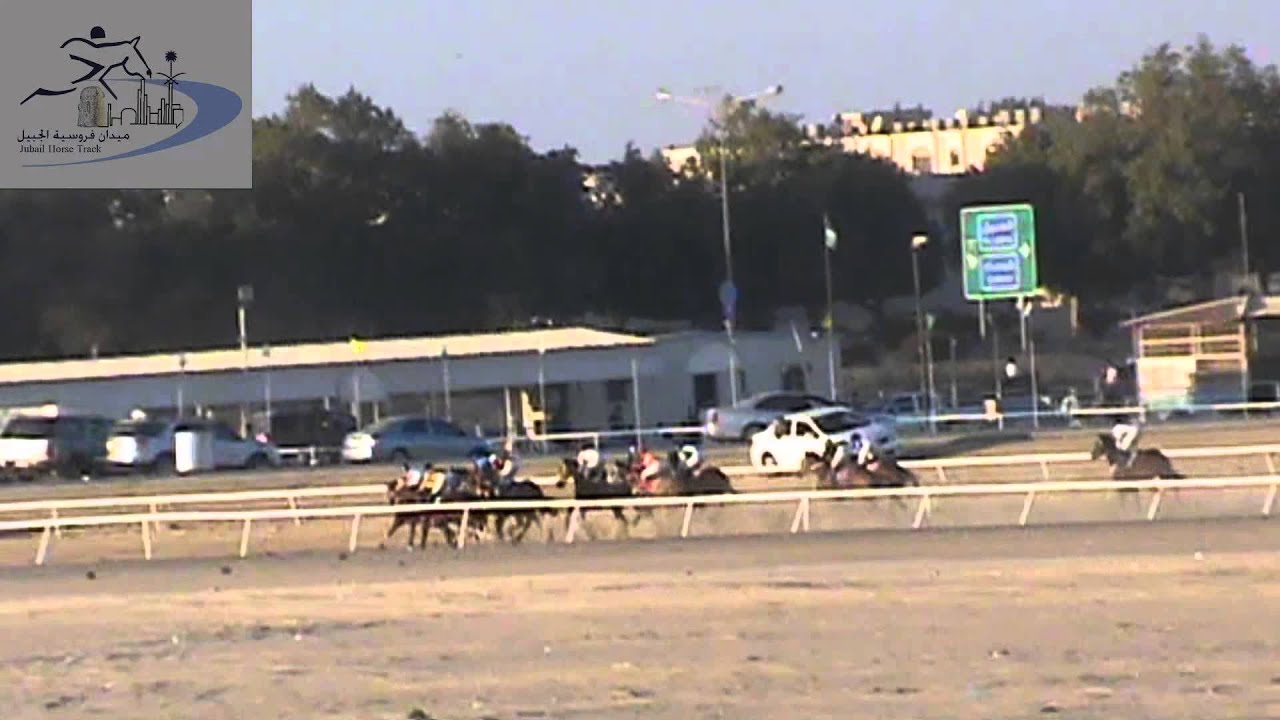 05 الشوط الخامس الحفل العاشر ميدان فروسية الجبيل موسم 1435 1436