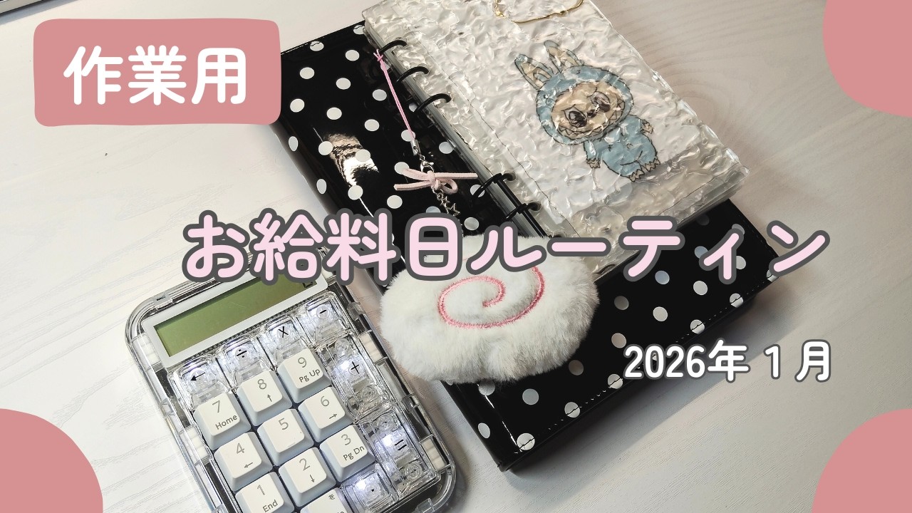 【BGMなし・作業用】アラフィフお給料｜」17万円｜１月分振り分け