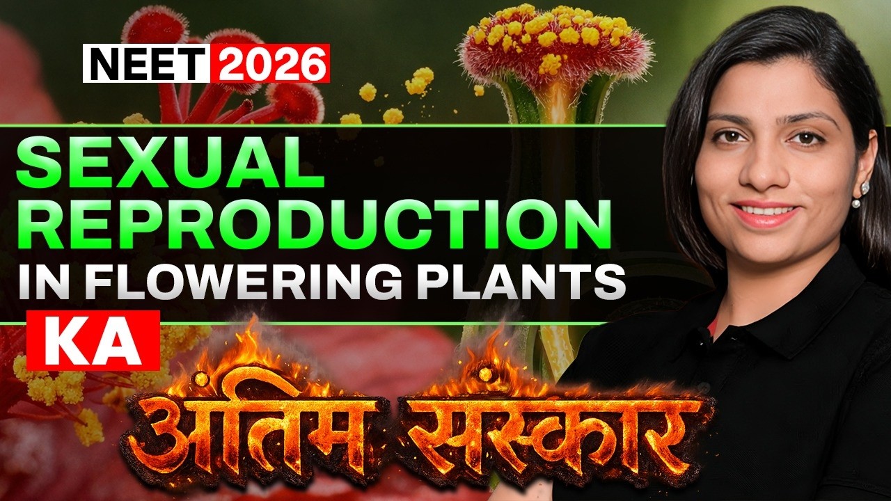 Sexual Reproduction in Flowering Plants | Part-2 | Last Hope Revision | Ritu Rattewal | #neet2026