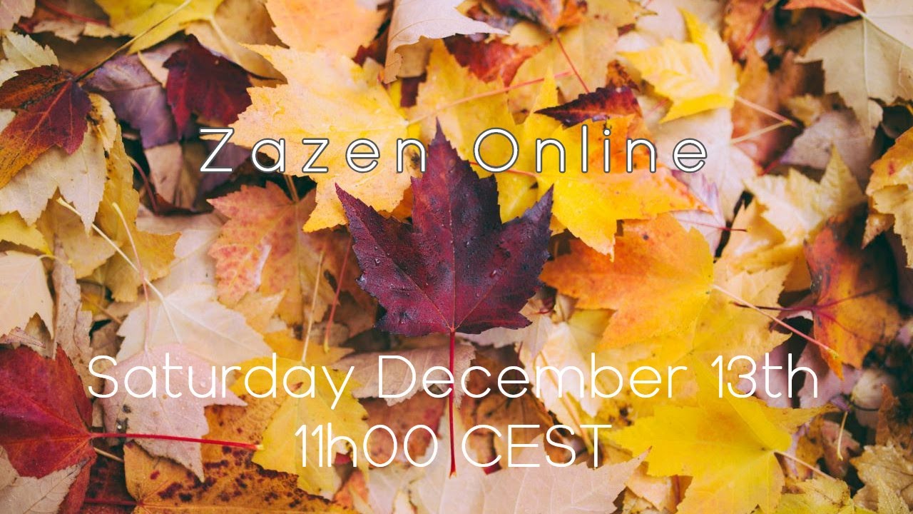 Zazen Online December 13th 2025 11h00 (CEST) / 10h00 (BST)