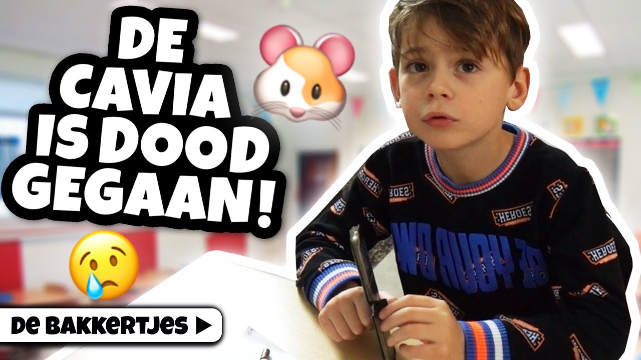 TOP 10 MANIEREN OM UIT SCHOOL TE GAAN! - De Bakkertjes #301