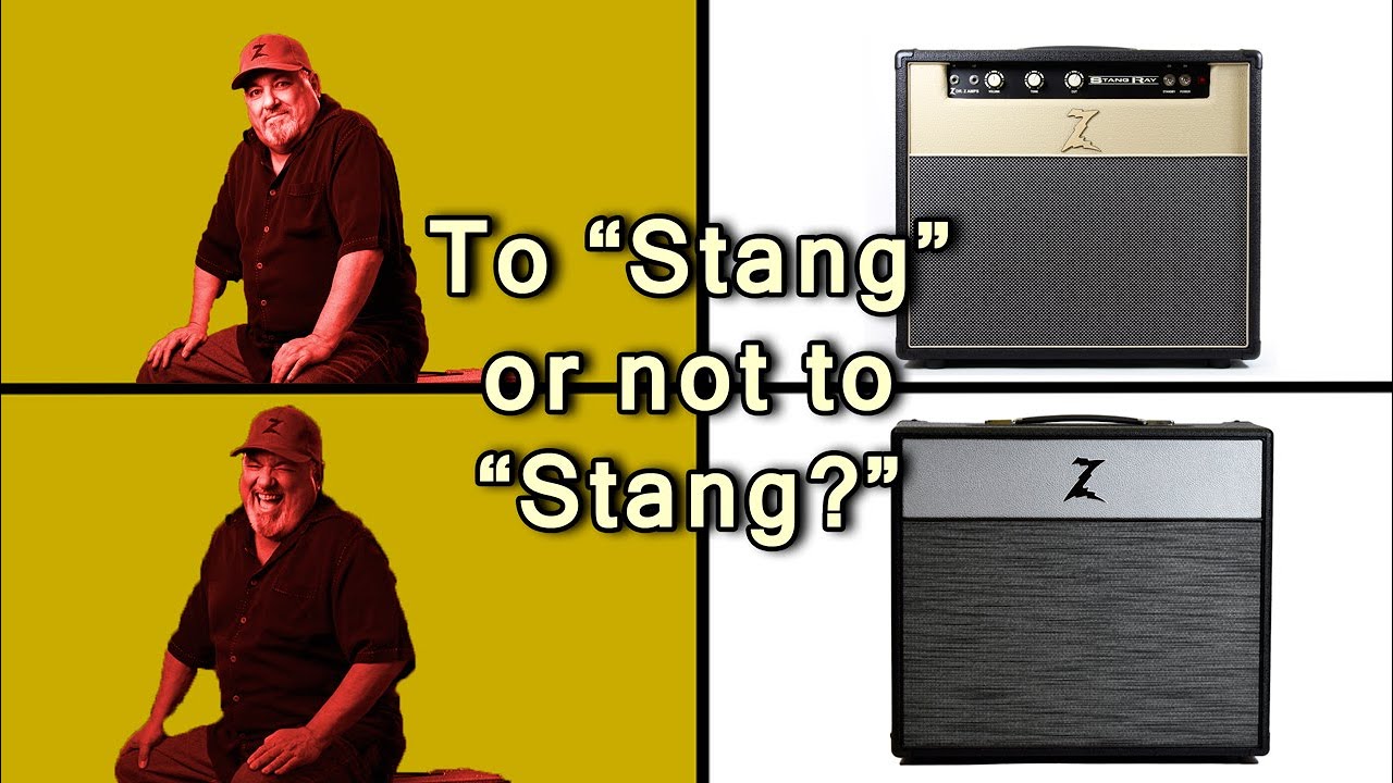 Z-Best Mini? Successor to the Stang-Ray? (DR. Z AMA!)