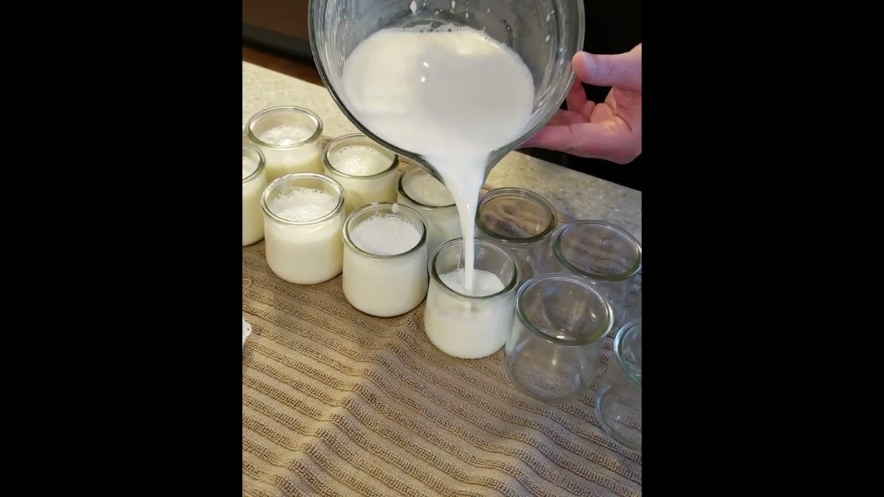 Instant Pot Potted French Yogurt (2023 UPDATED)