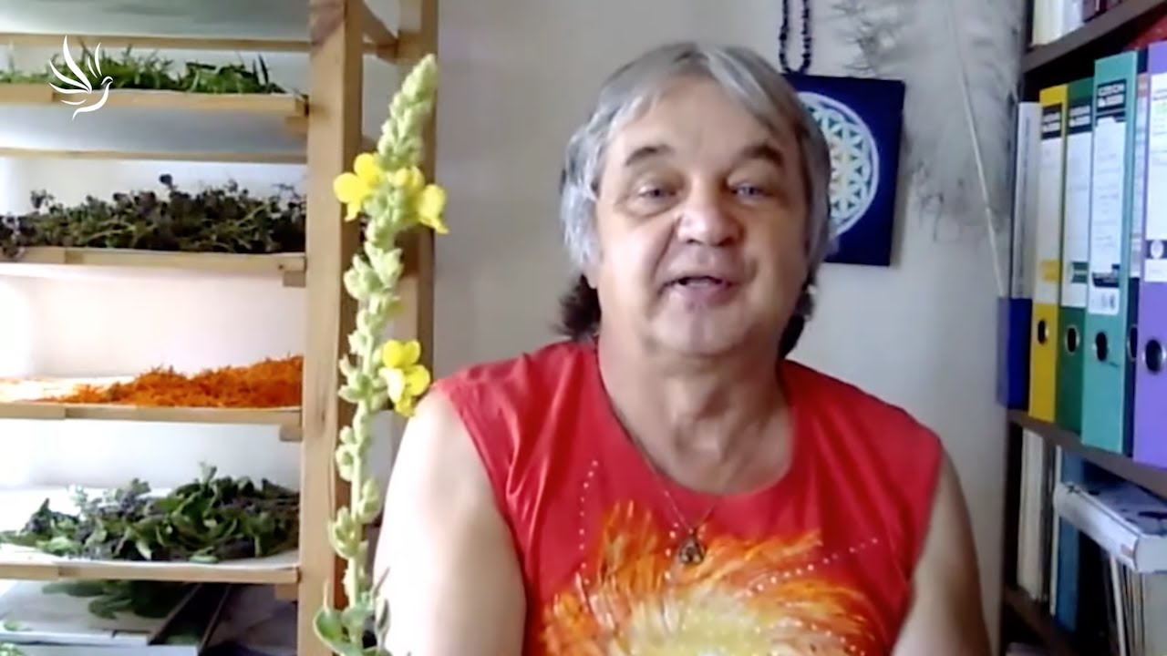 Vláďa Vytásek, Léčivé rostliny - sběr červenec/srpen