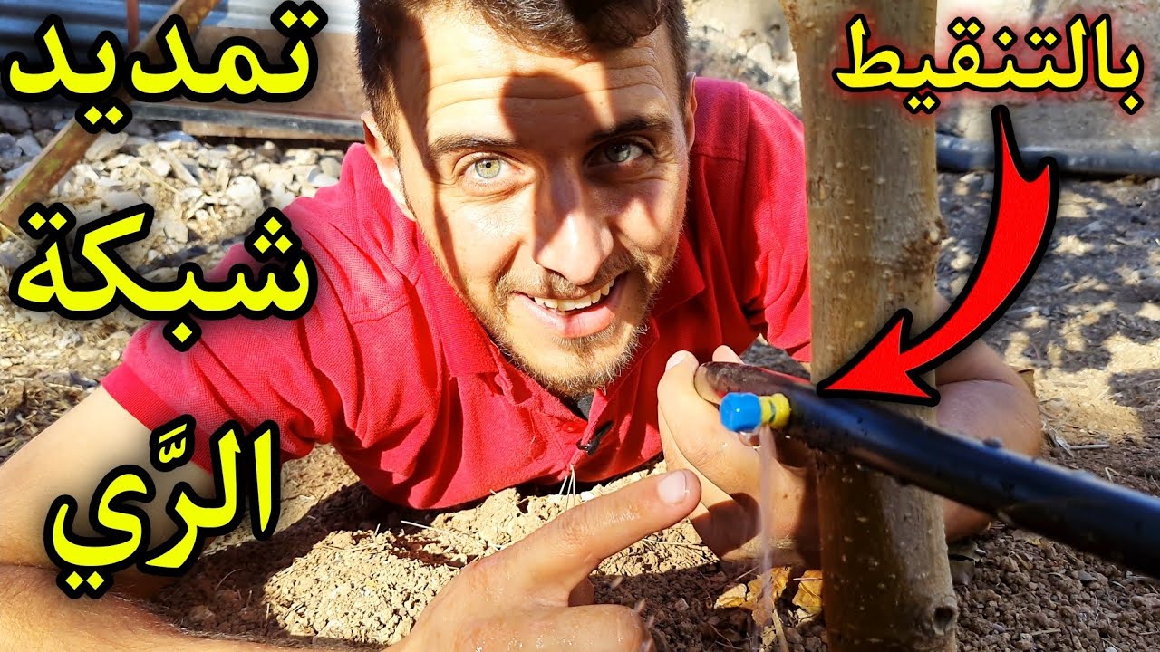 طريقة عمل شبكة رَيّ بالتنقيط بسيطة لأشجارك بنفسك !