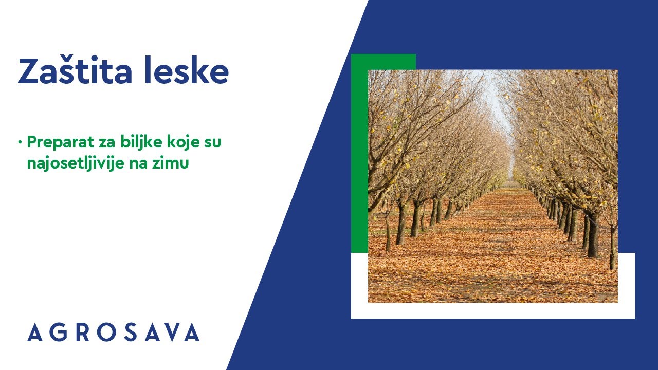 Zaštita leške - preparat za biljke koje su najosetljivije na zimu