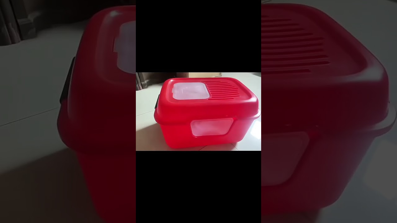 Plastic Pet Litter Box mould 