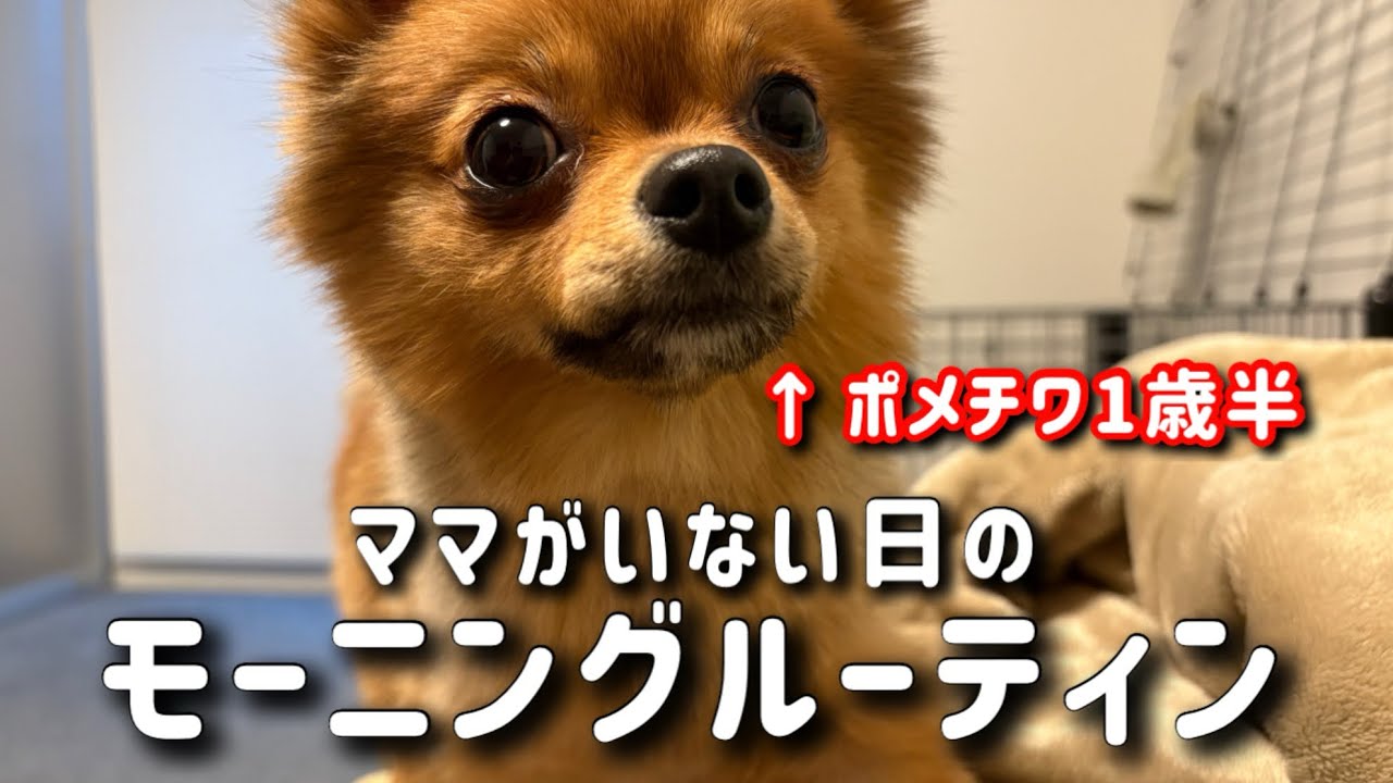 【やりたい放題】男同士仲良くやろうぜ、友よ