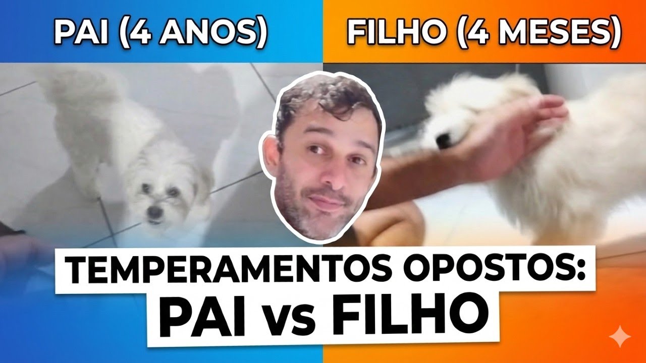 PAI vs FILHO: A Diferença de Temperamento é Incrível! (Nestor e Apolo)
