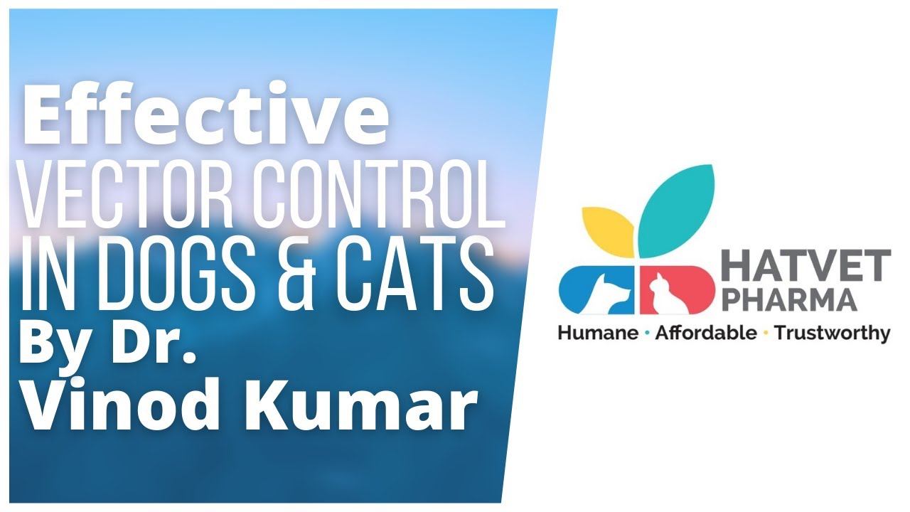 Effective Vector Control in Dogs & Cats By Dr. Vinod Kumar