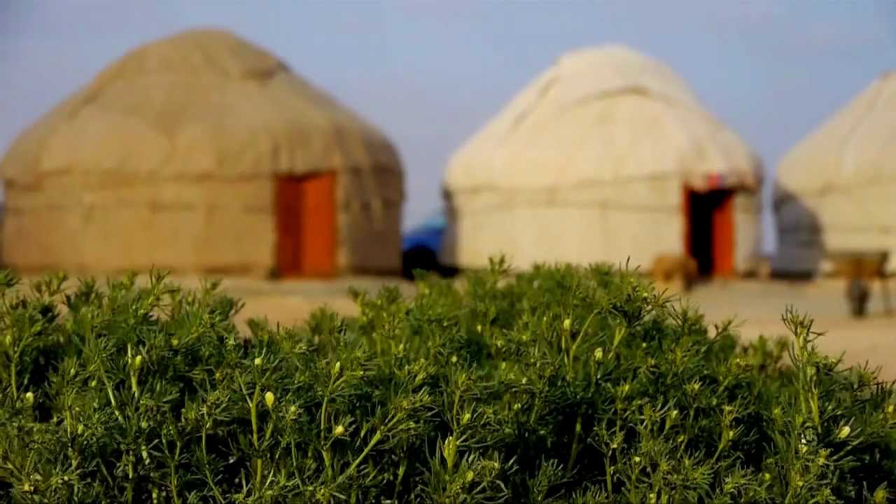Uzbekistan Journey